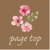 PAGE TOP